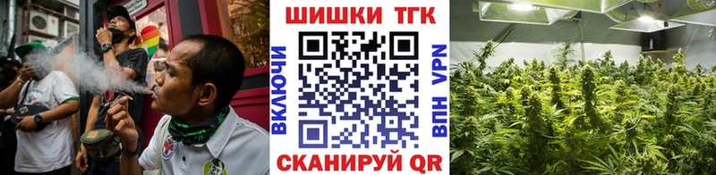 Где купить наркоту Мончегорск Гашиш  Галлюциногенные грибы  A PVP  Бутират  КОКАИН  Меф 