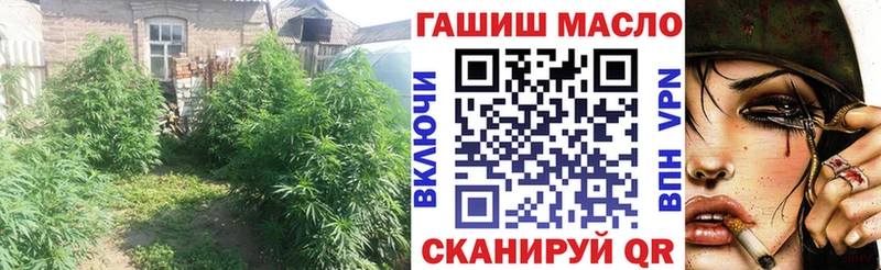 Дистиллят ТГК гашишное масло  купить закладку  OMG зеркало  Мончегорск 