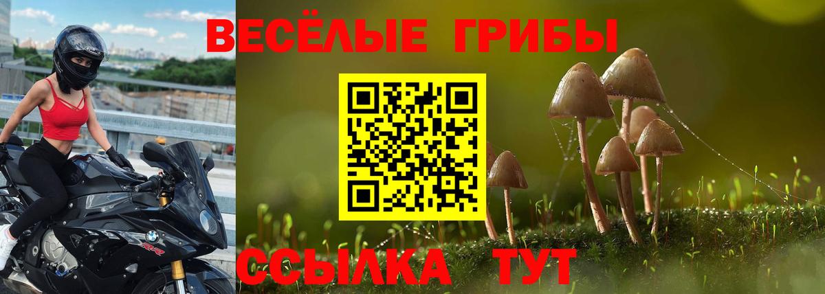 магазин продажи наркотиков  Вход с VPN  Мончегорск  Псилоцибиновые грибы мухоморы 