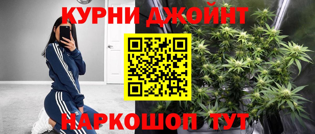 Канабис гибрид Мончегорск